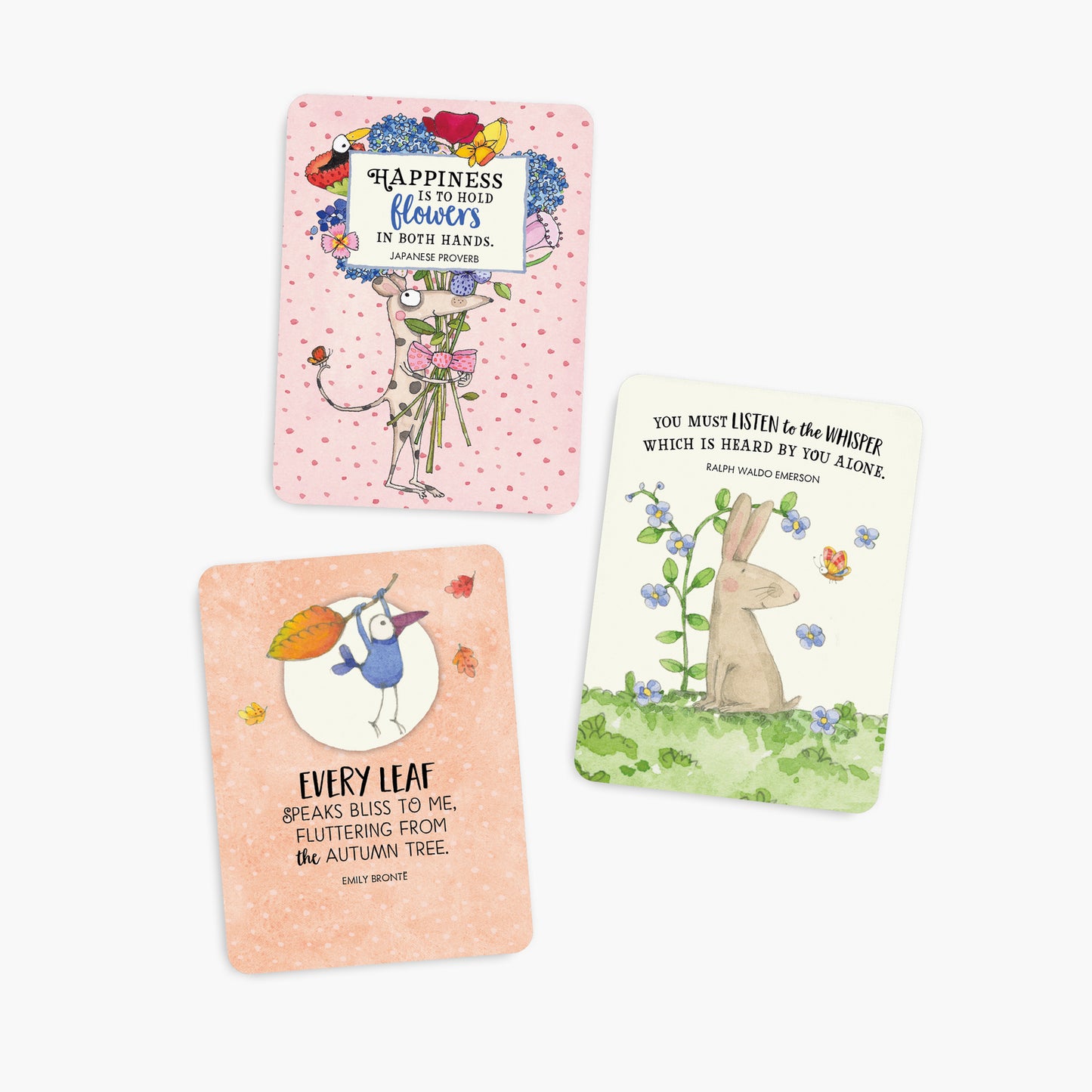 DGP - Up The Garden Path - Twigseeds 24 Affirmation Cards + Stand