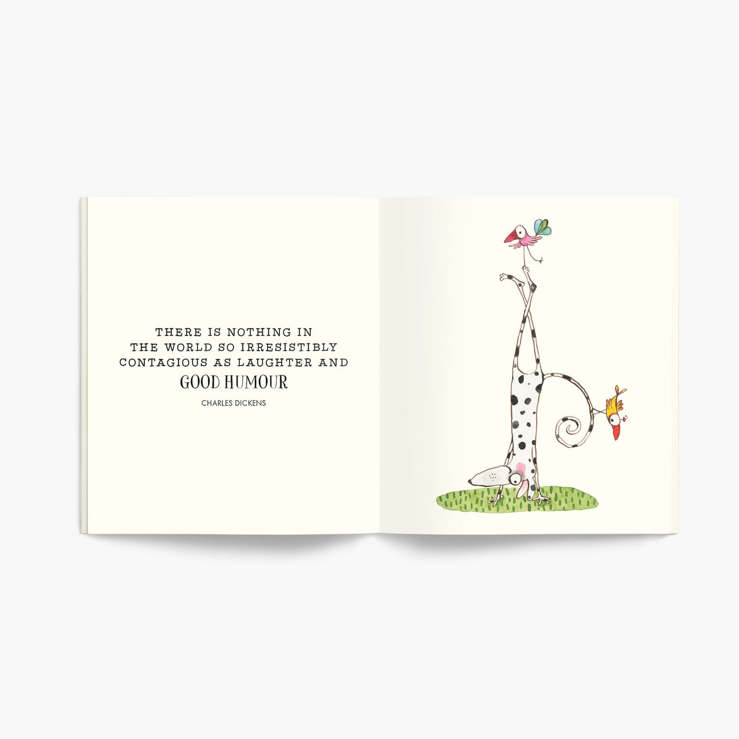 Twigseeds Little Book of Fun