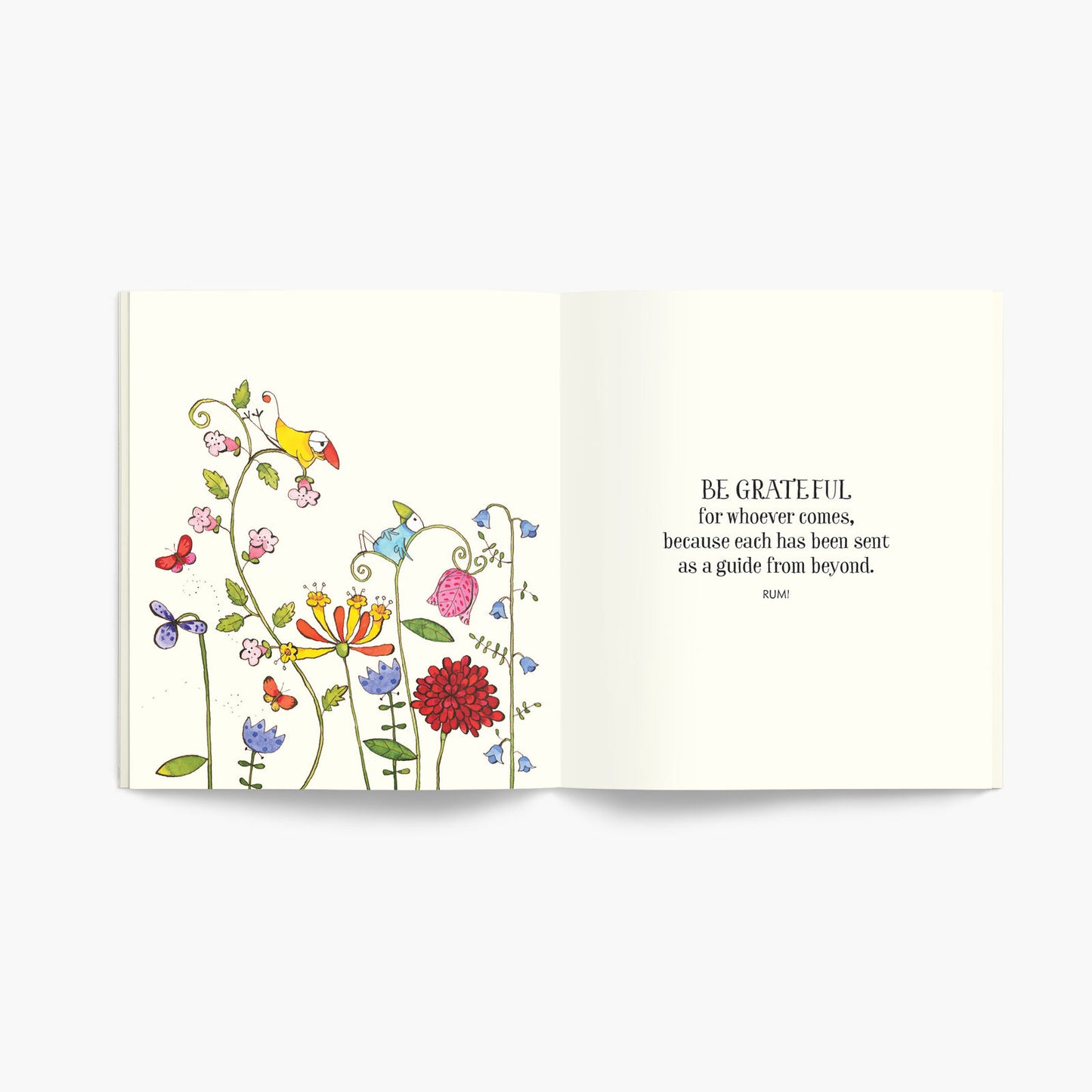 Twigseeds Little Book of Wishes